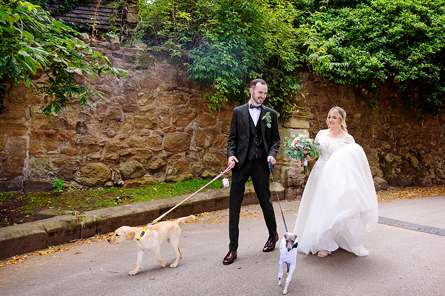 bride and groom portrait walking with dogs captured by natural wedding photographer Alison Edwards