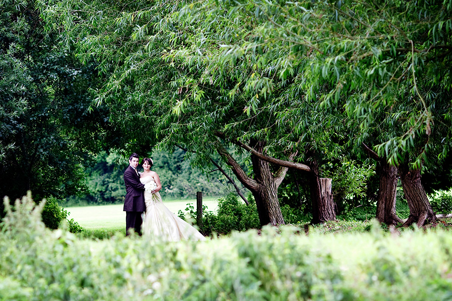 bride and groom portrait in woodland captured by Chesterfield wedding photographer Alison Edwards Photography